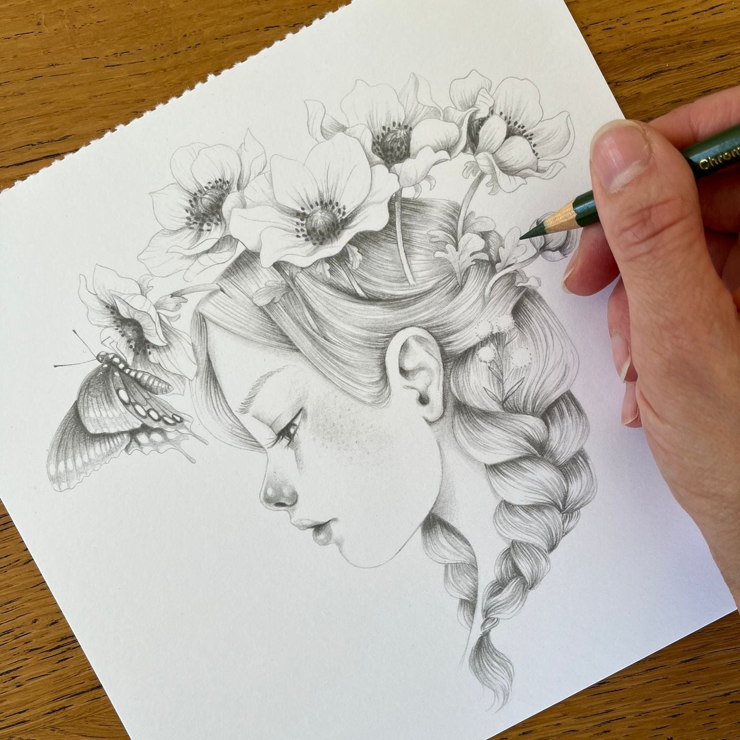 TALLERES COLOREADO NOVIEMBRE